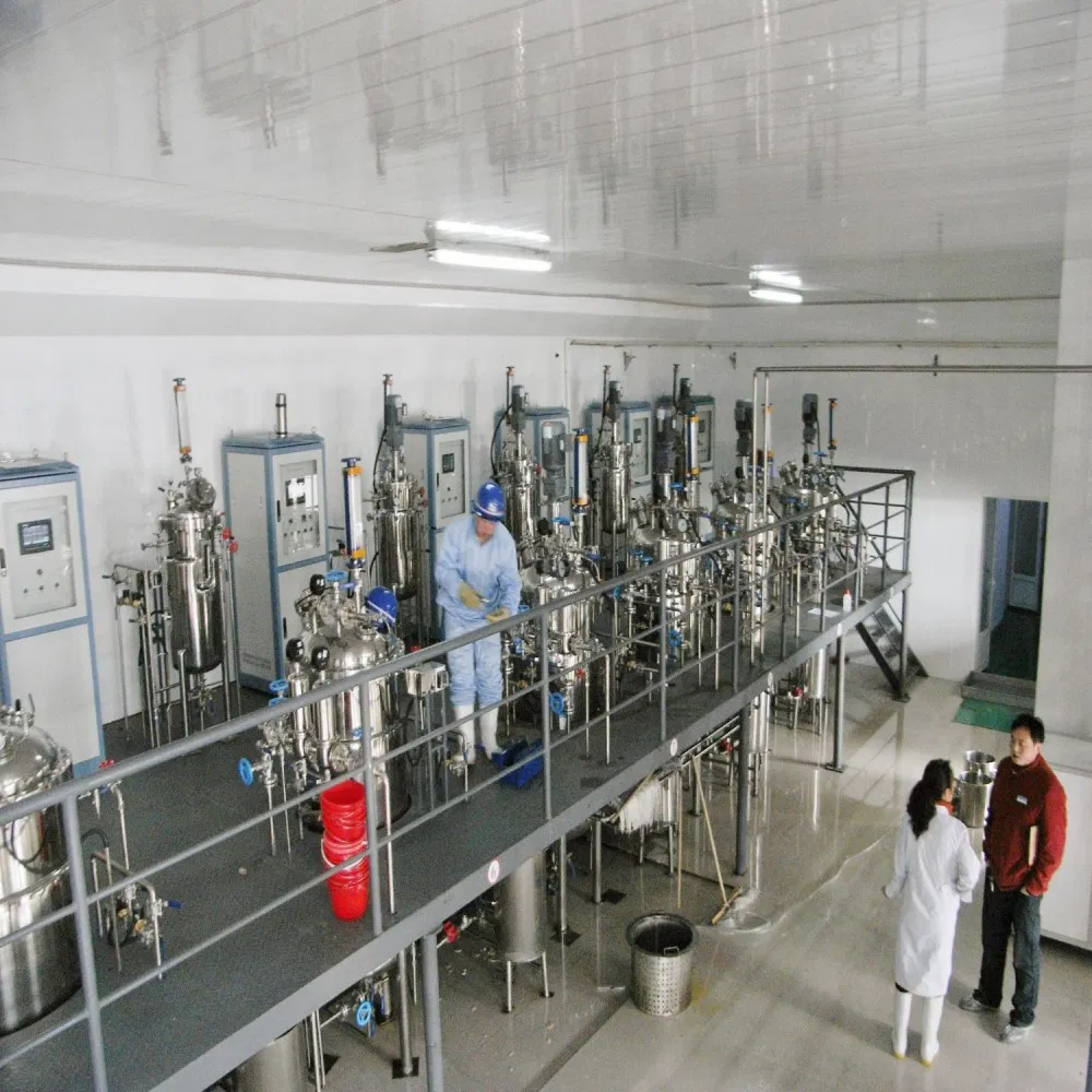 Pilot Stainless Steel Fermenter System for Biofuel Pilot