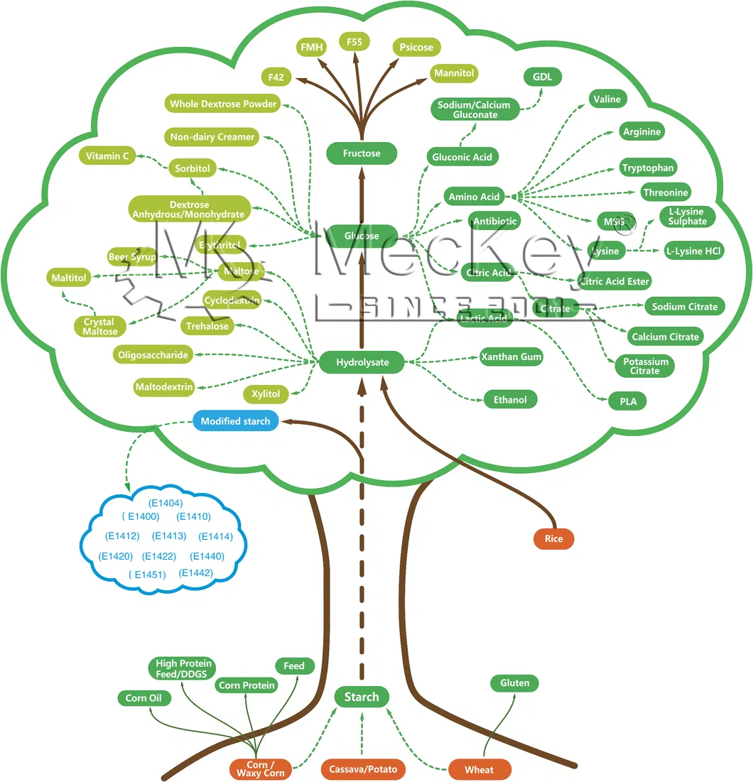 Main Projects Display