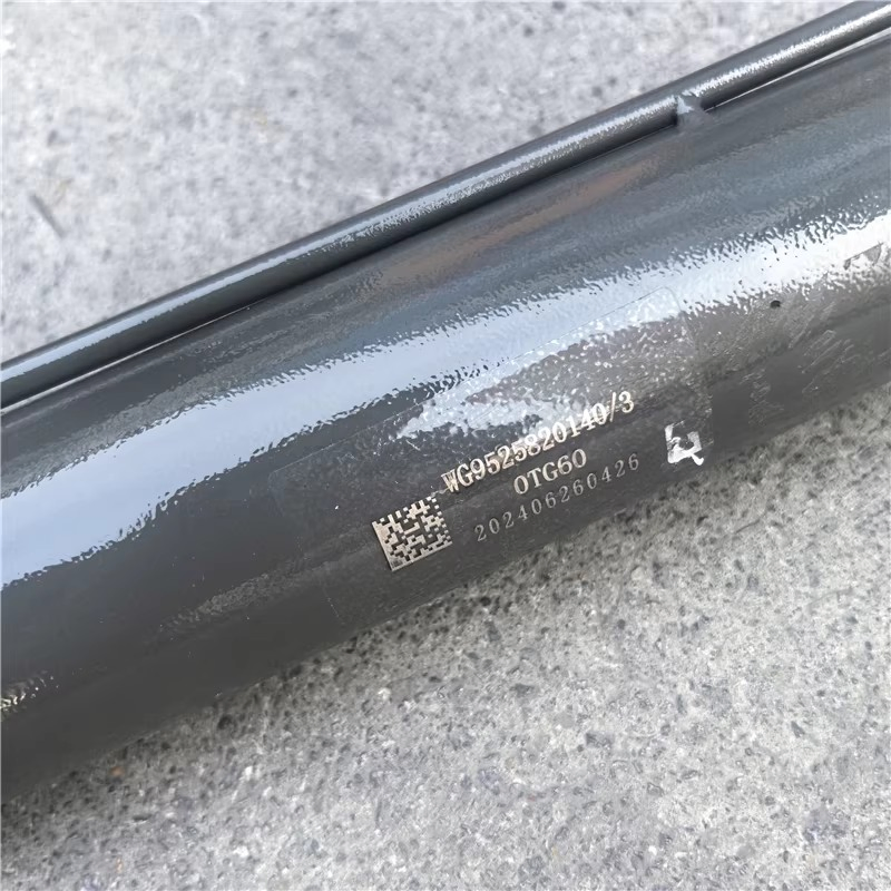 High Quality and Durable HOWO Fuel Pump 1015569248 Used for Heavy Machinery Systems for HOWO Engines