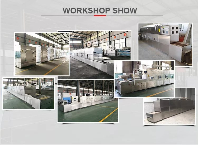 High Quality Industrial Microwave Drying Sterilizing Oven Equipment for Ceramic Processing