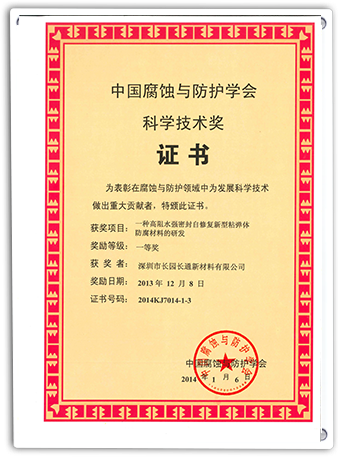 Company Certificate