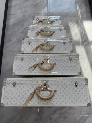 China [Copy] Louis Vuitton Style White Monogram Hard Case Trunk Suppliers, Factories