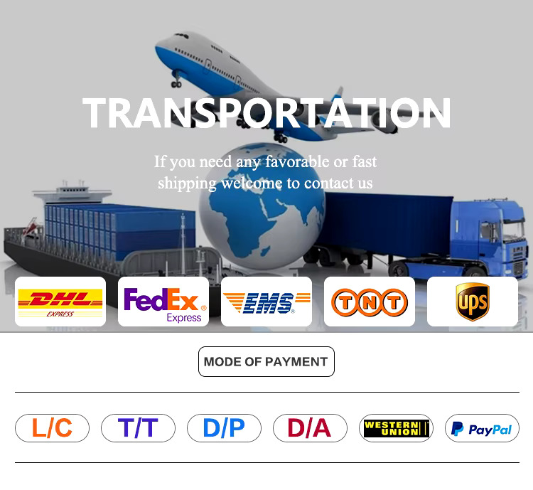 Shipping and Payment Options