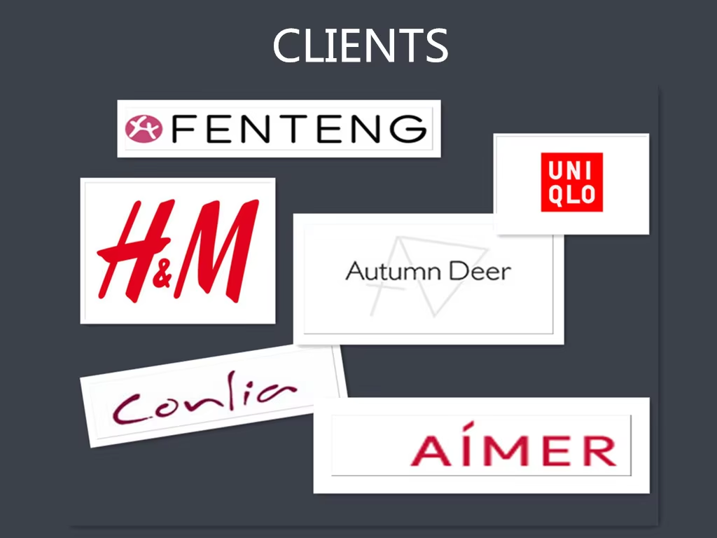Company Showcase 5