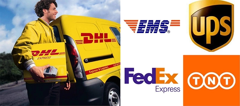 Shipping Details