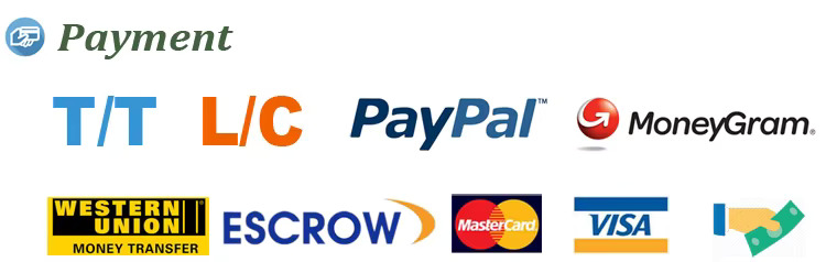 Payment Info 1