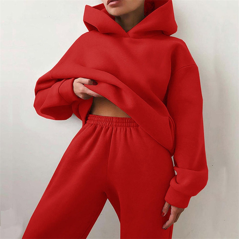 Women's Hooded Sweatshirt Fleece Long Sleeve Casual Sportswear Loose Fit Two Piece Outfit Solid Color All Seasons Women's Set