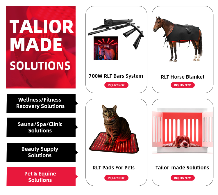 Equine and Pet Light Therapy Equipment