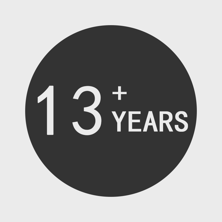 13 years experience