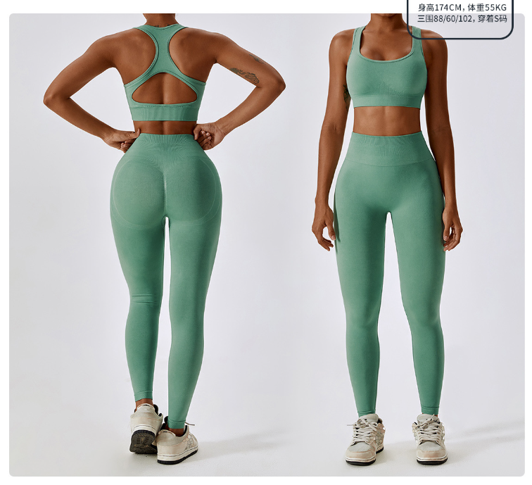 BASHAsports Yoga Sets Gym Clothes Fitness Apparel Women Seamless Sportswear Wholesale Yoga Activewear Exercise Collection
