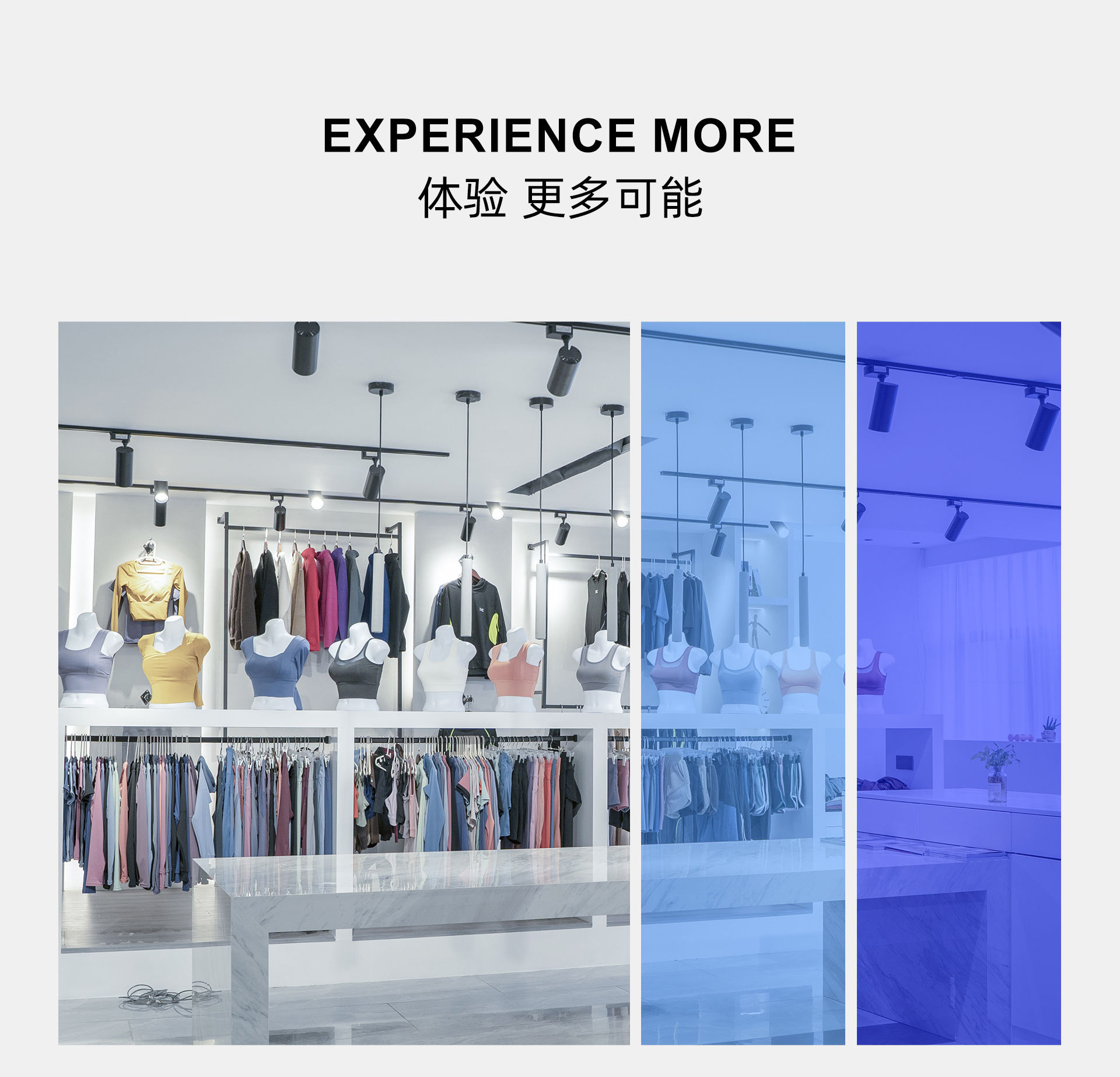 Showcase Details