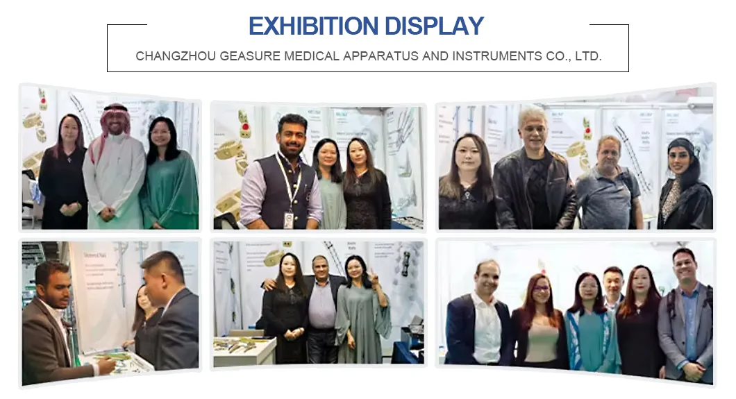 Participate in Exhibitions