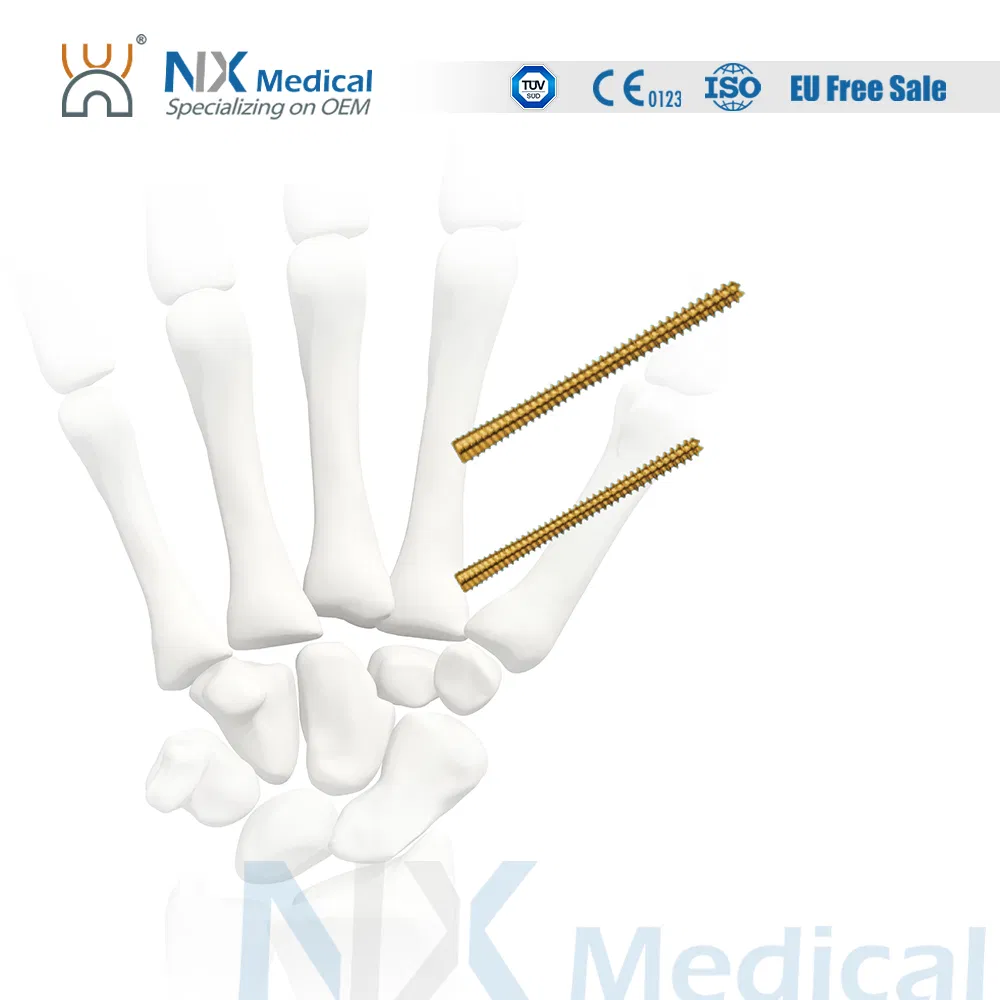 Orthopedic Implant Cannulated Headless Compression Screw - II Metallic Bone Screws