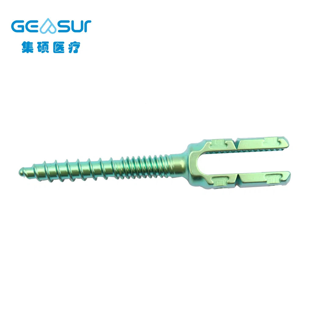 Spinal System Part 3