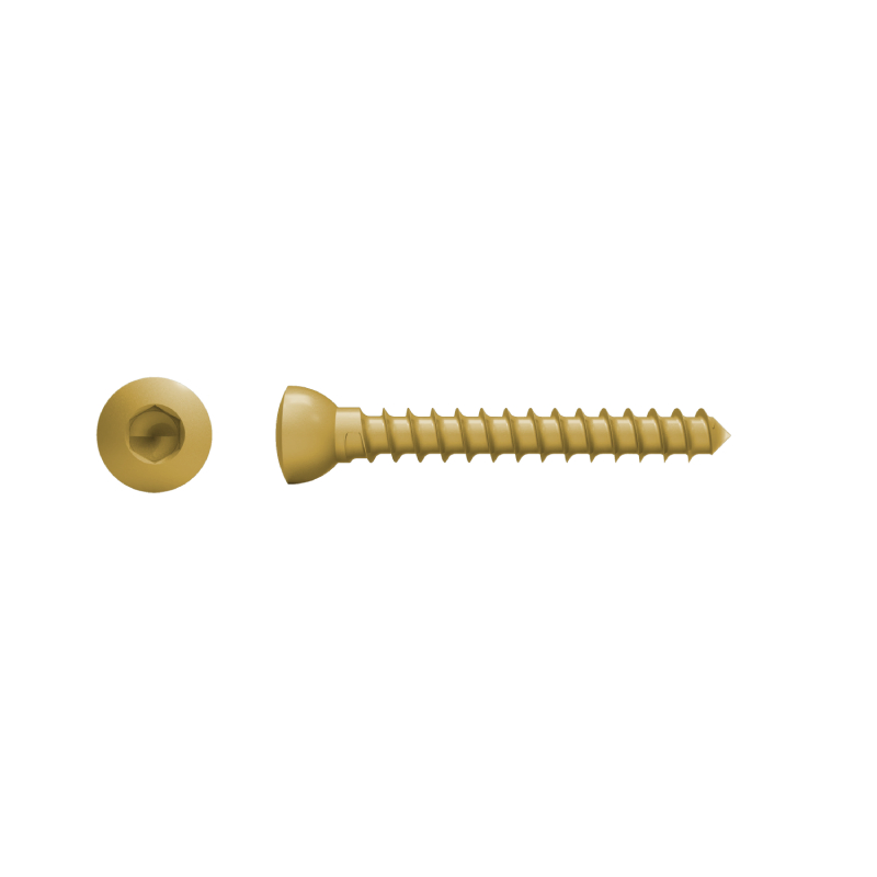 Maxillofacial Locking Orthopedic Surgical Implants Self-Tapping Self-Drilling Bone Screw