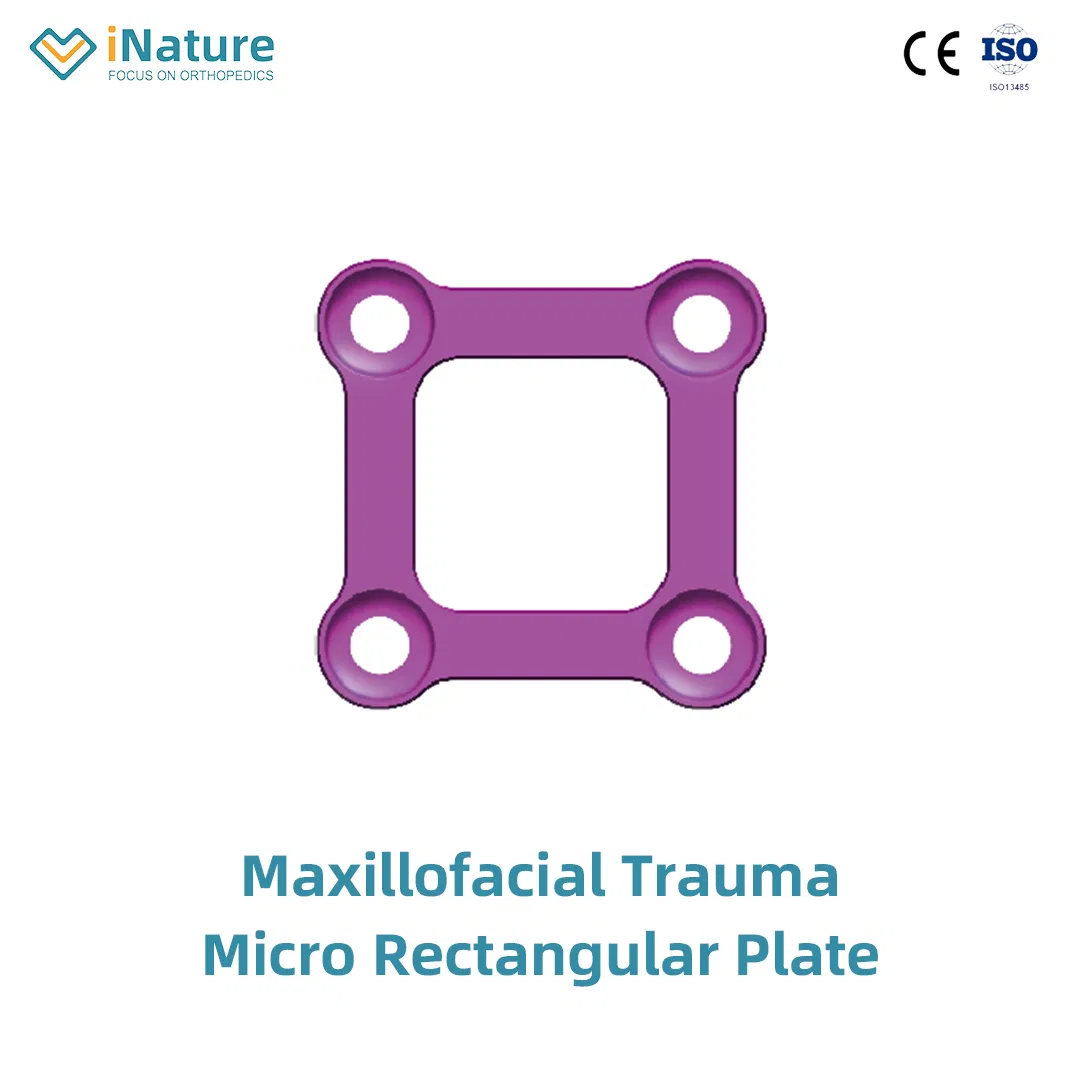 Maxillofacial Locking Micro/Mini &amp; Reconstruction Implant