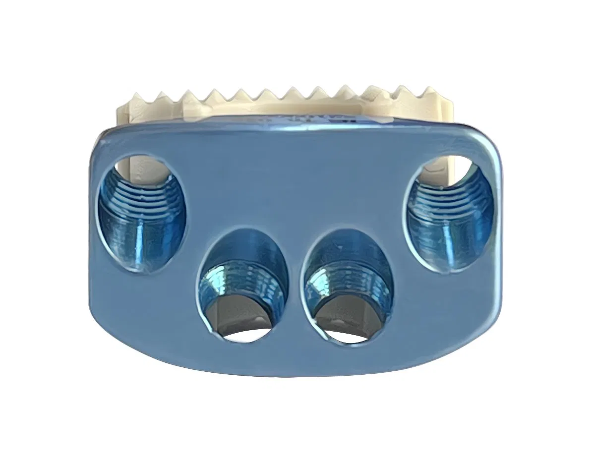 Cage System\4 Zero-Xtitanium Alloy, Orthopedic Implant, Spine, Surgical, Medical Instrument Set, with CE/ISO/FDA, Dislocation, Fracture, Lumber and Cervical