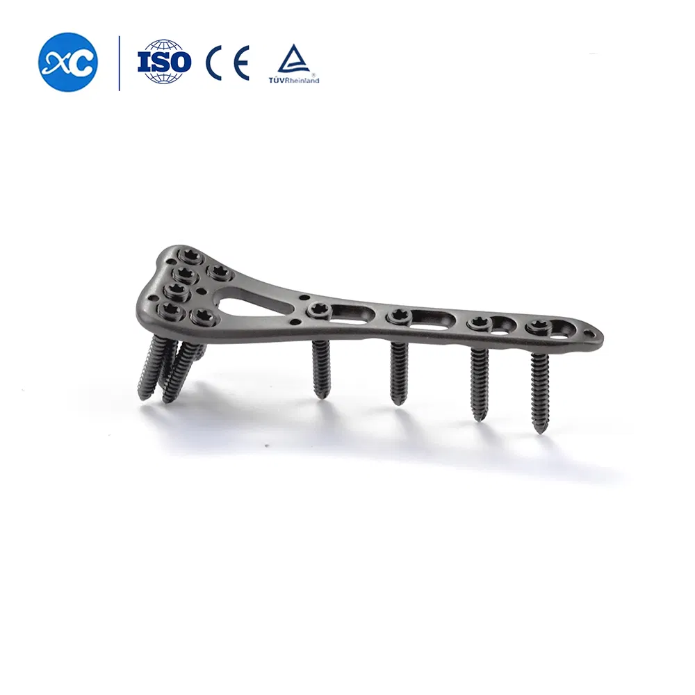 Orthopedic Surgical Implant Distal Radius Locking Plate 6h on Head