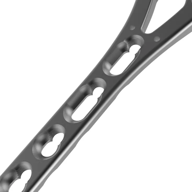 Titanium Bone Plate and Screw