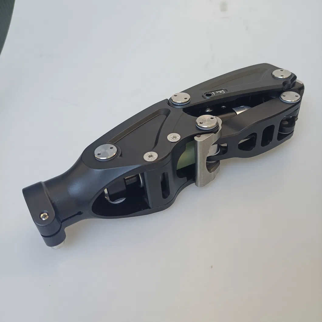 Innovative Knee Joint