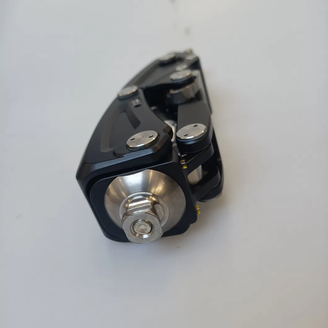 Innovative Knee Joint