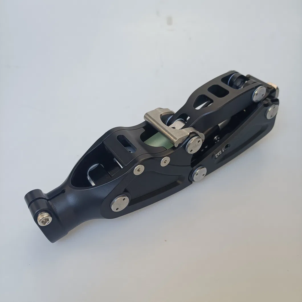 Innovative Knee Joint