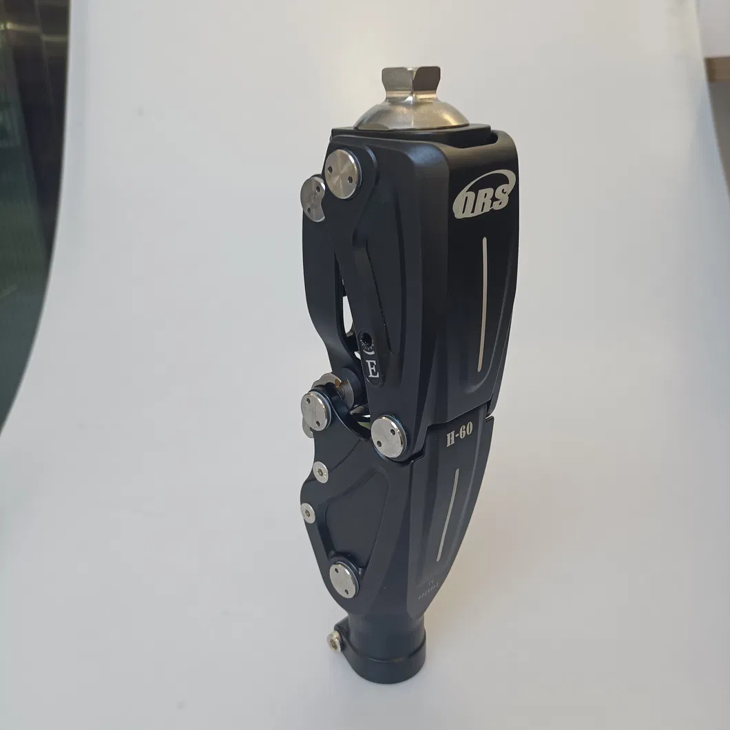 Innovative Knee Joint