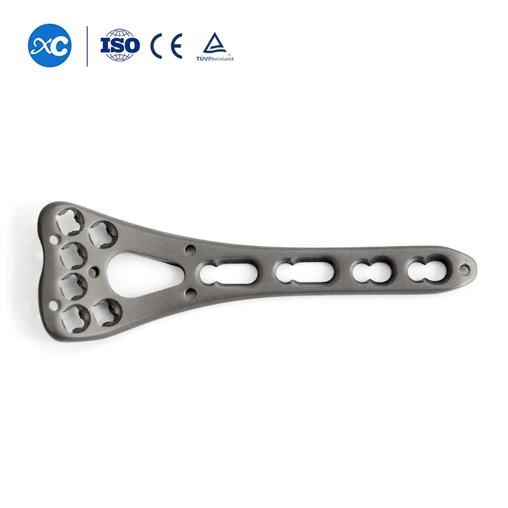Orthopedic Surgical Implant Distal Radius Locking Plate 6h on Head