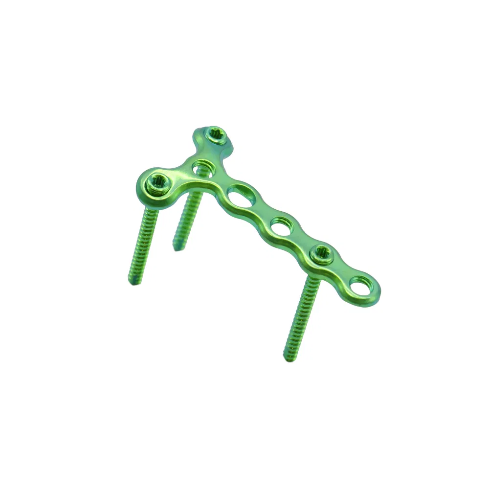 Bone Plate Maxillofacial Mini Micro Locking T Plate Bone Implant