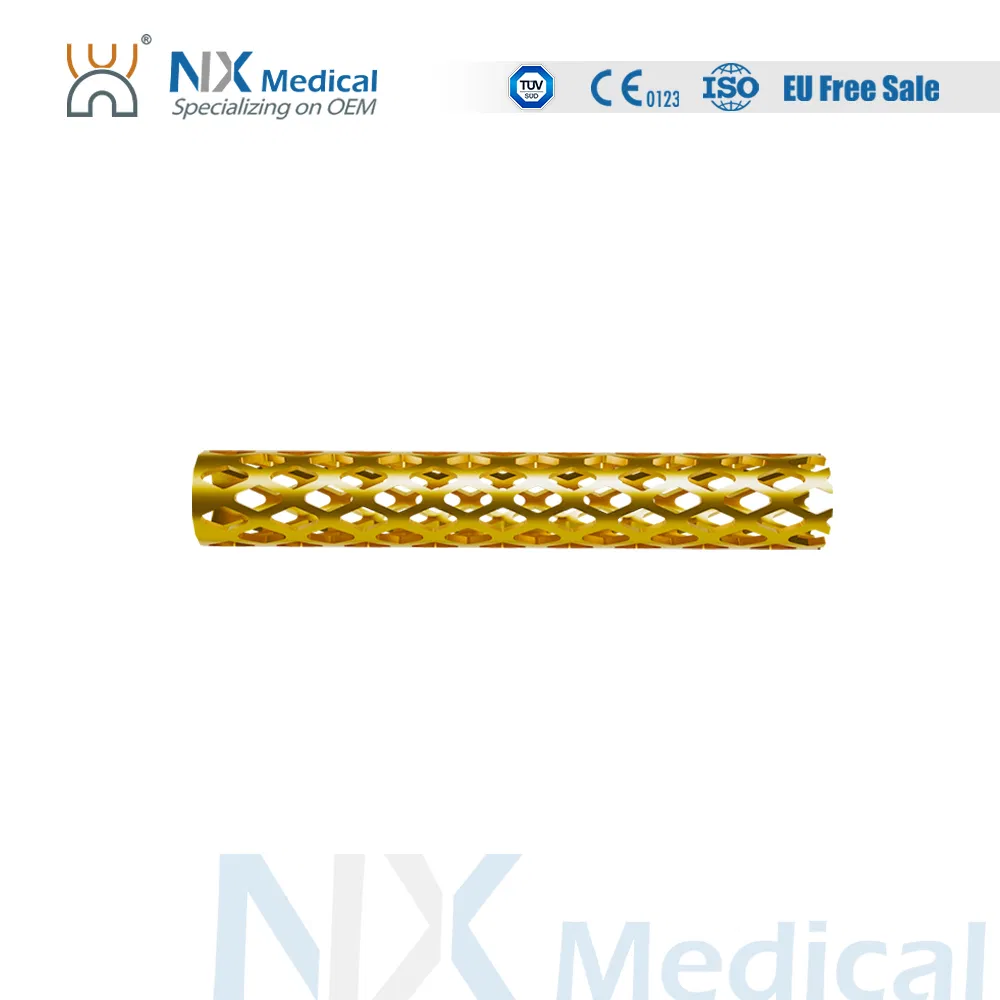 Nx Medical China Factory Titanium Tlif Cage Peek for Lumbar Interbody Fusion