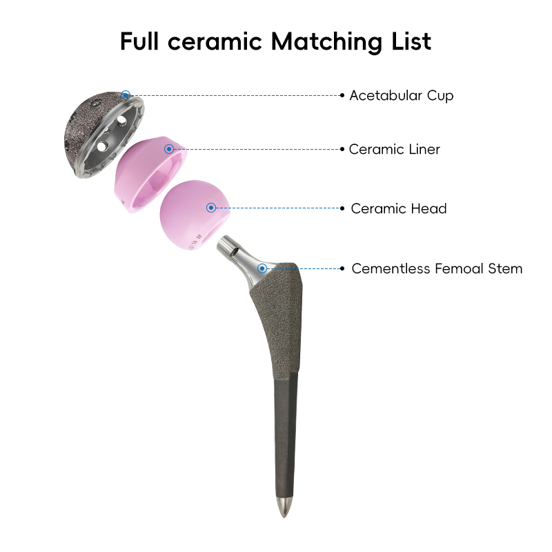Titanium Cemented Femoral Stem Articulatio Coxae Reconstruction Total Hip Joint Replacement Prosthesis
