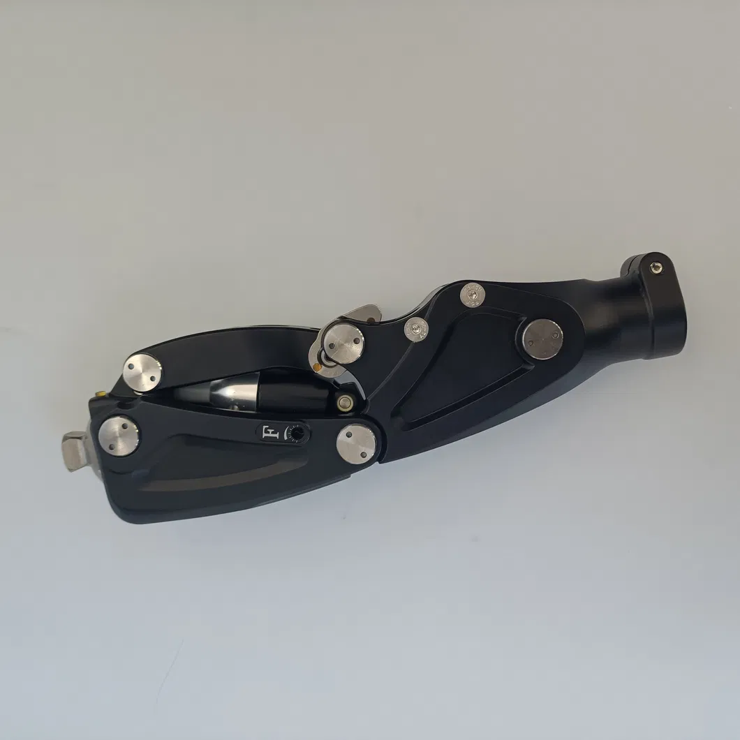 Innovative Knee Joint