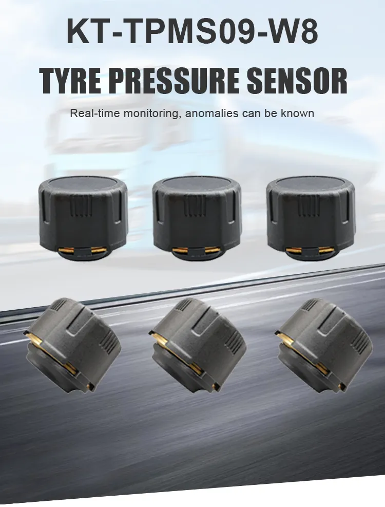 TPMS Detail 1