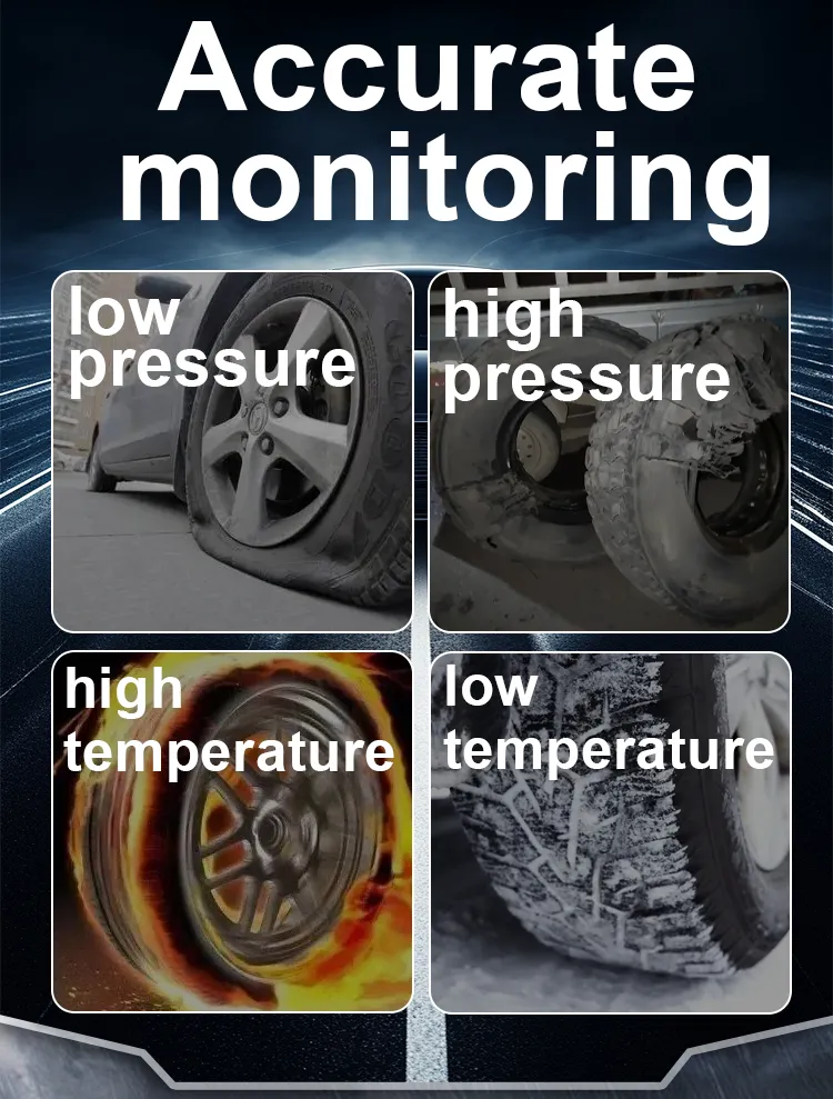 TPMS Detail 1
