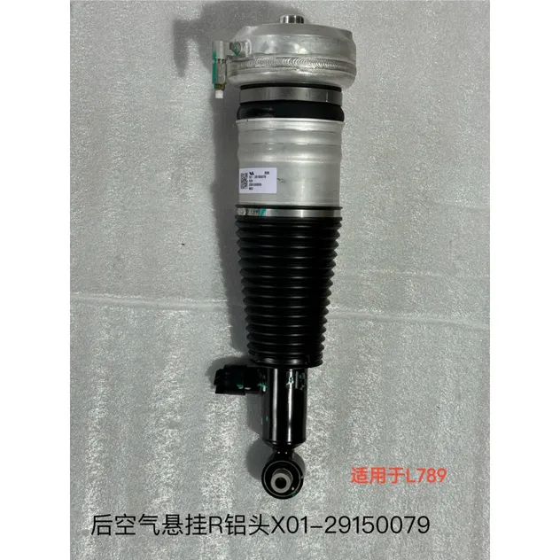 Sistemas de Suspensión Neumática para Automóviles de Pasajeros Konghui X01-20030015/16, Resorte Neumático Trasero Izquierdo con Conjunto de Amortiguador, Li Auto L9