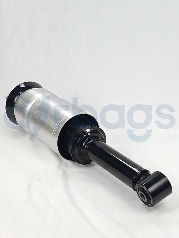 Suspensión de aire delantera del Land Rover Discovery 3 amortiguador de choque estructural Rnb501250 Rnb000857