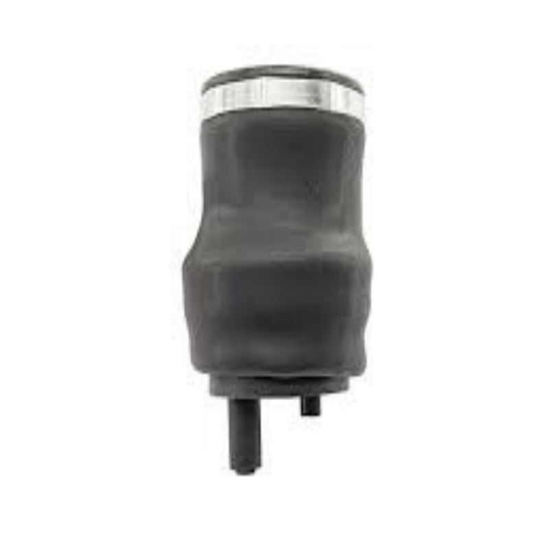 Sistema de suspensión de bolsa de aire para camiones personalizados de alta resistencia OEM 5010130797