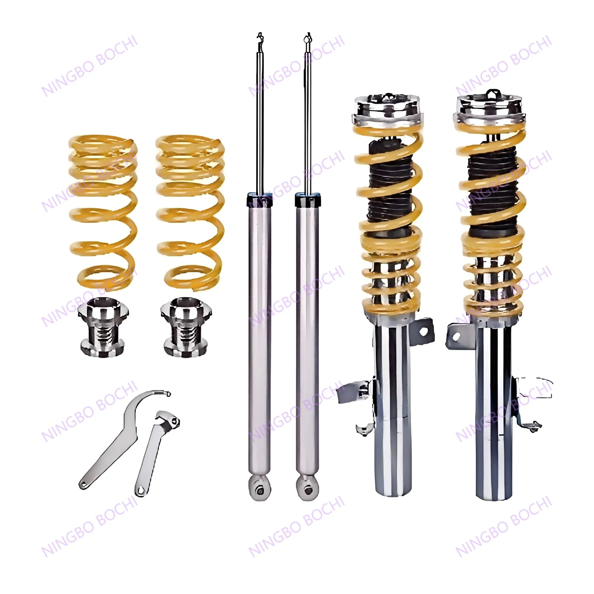 Sistema de suspensión de coilovers personalizado para Fo*Rd Fo*Cus 3