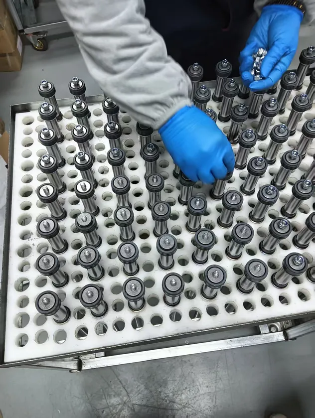 Inspección
