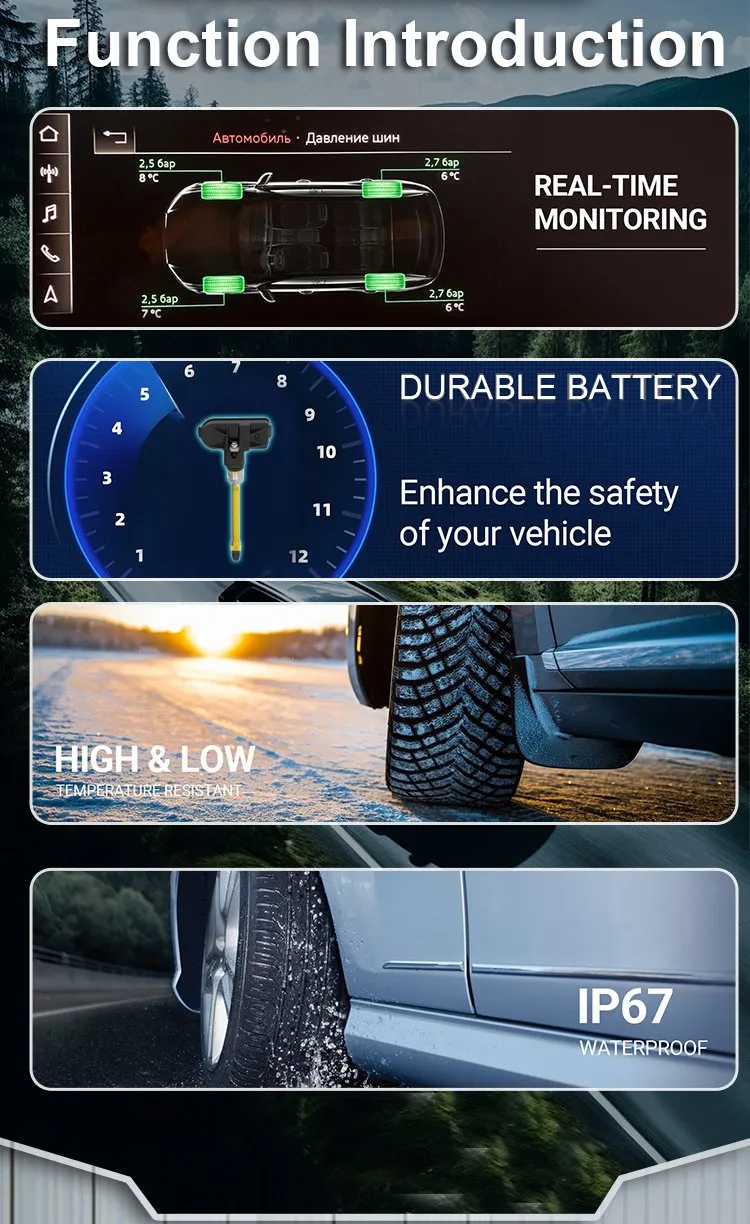 TPMS Detail 2