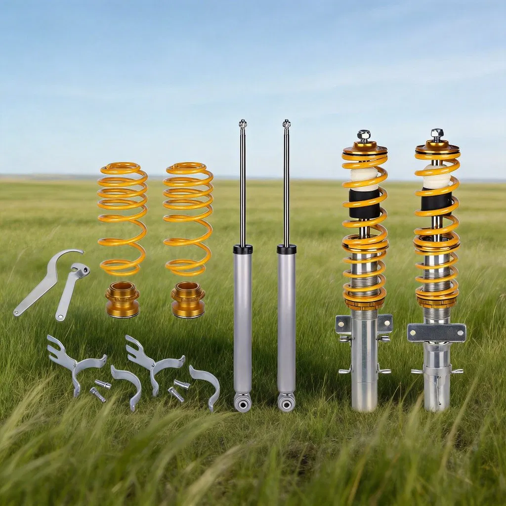 Sistema de Coilover Mejorado para vehículos VW Pol*O Typ 6r &amp; 6c