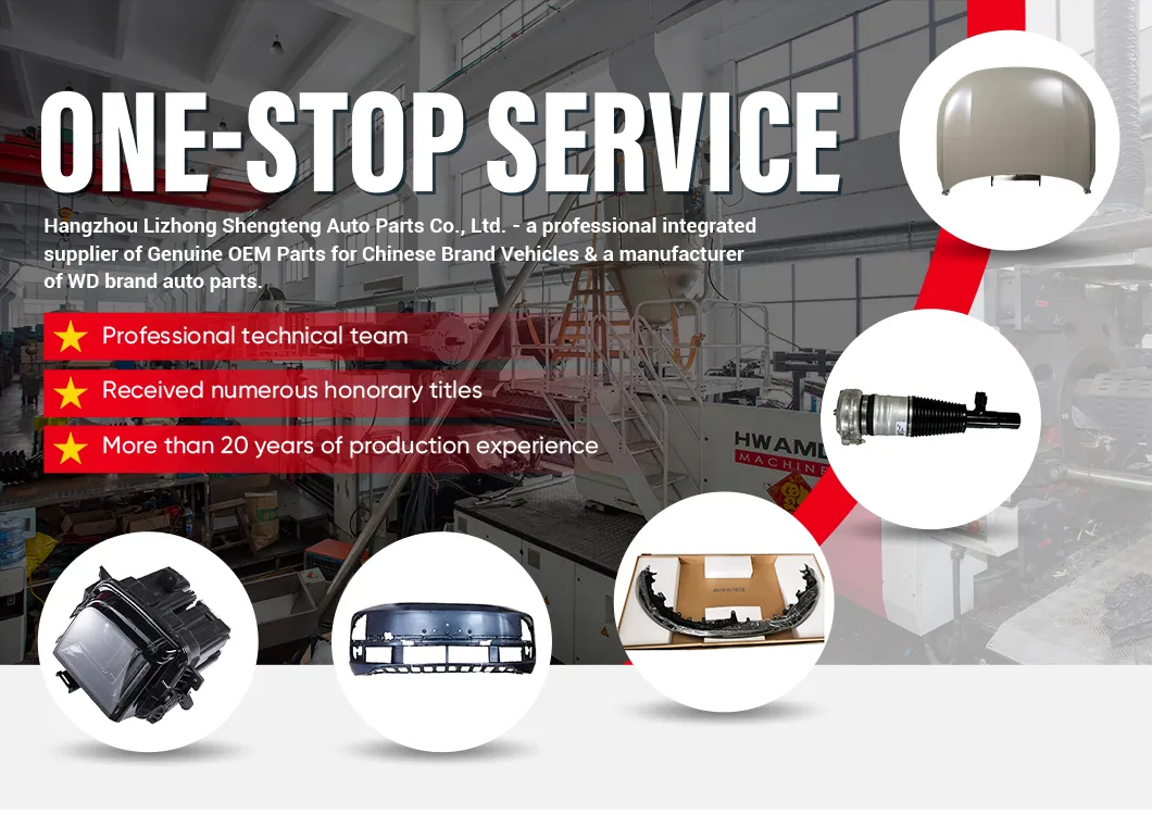 Sistemas de Suspensión Neumática para Automóviles de Pasajeros Konghui X01-20030015/16, Resorte Neumático Trasero Izquierdo con Conjunto de Amortiguador, Li Auto L9
