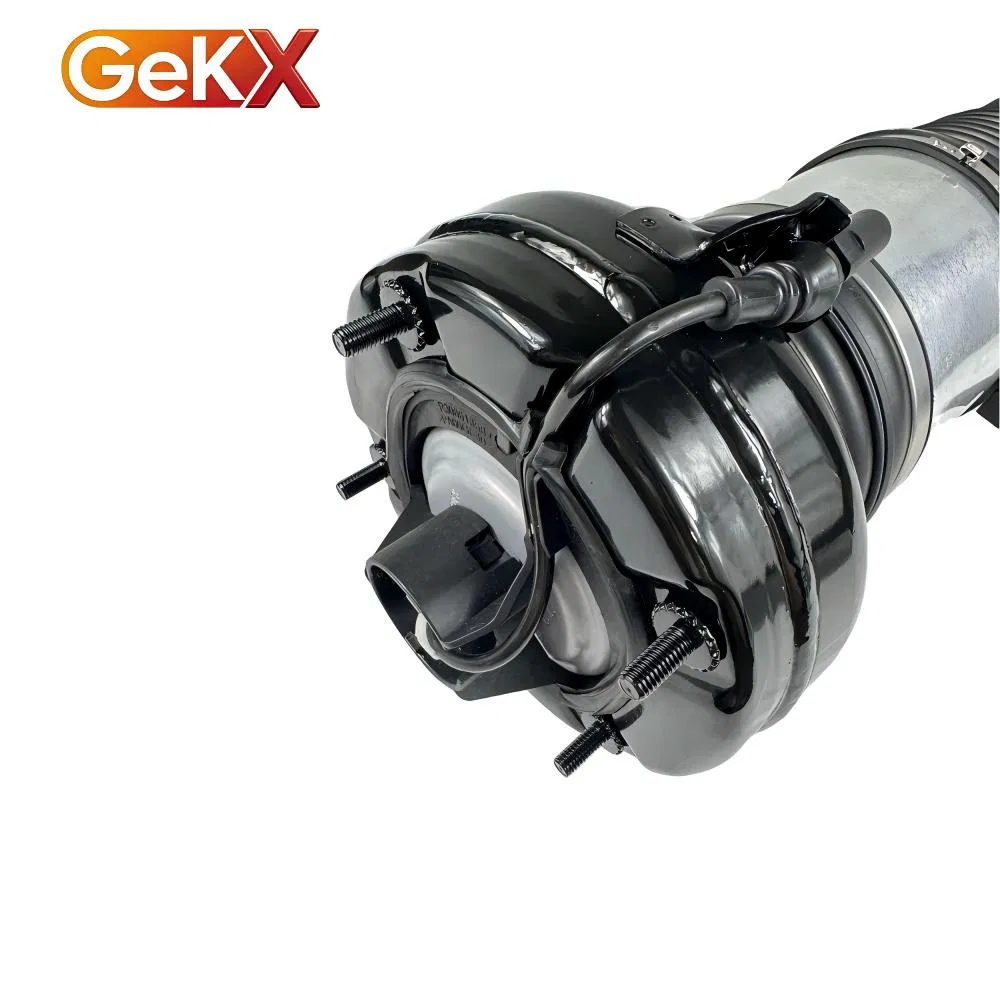 Amortiguador de suspensión delantera premium para Porsche Macan 95b 95b616039b 95b616039A