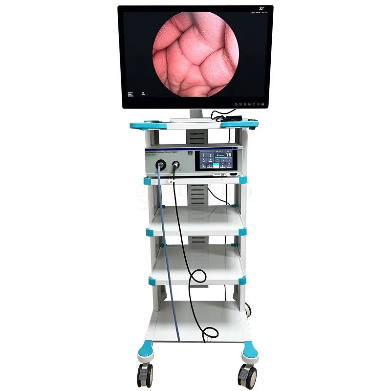 Sistema de Endoscopia Full HD