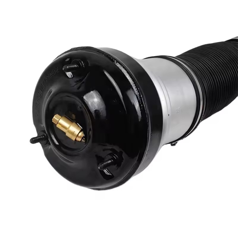 Amortiguador de aire personalizable para Mercedes Benz 220 delantero 220320243889