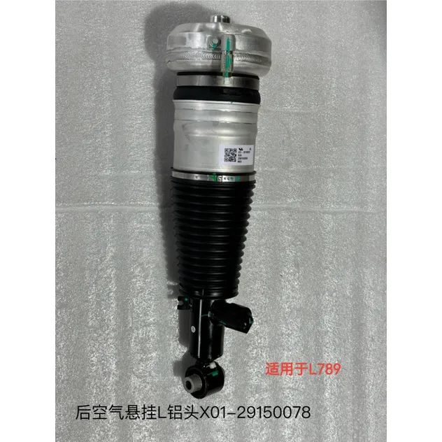 Sistemas de Suspensión Neumática para Automóviles de Pasajeros Konghui X01-20030015/16, Resorte Neumático Trasero Izquierdo con Conjunto de Amortiguador, Li Auto L9