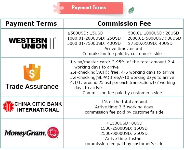 Secure Payment Methods