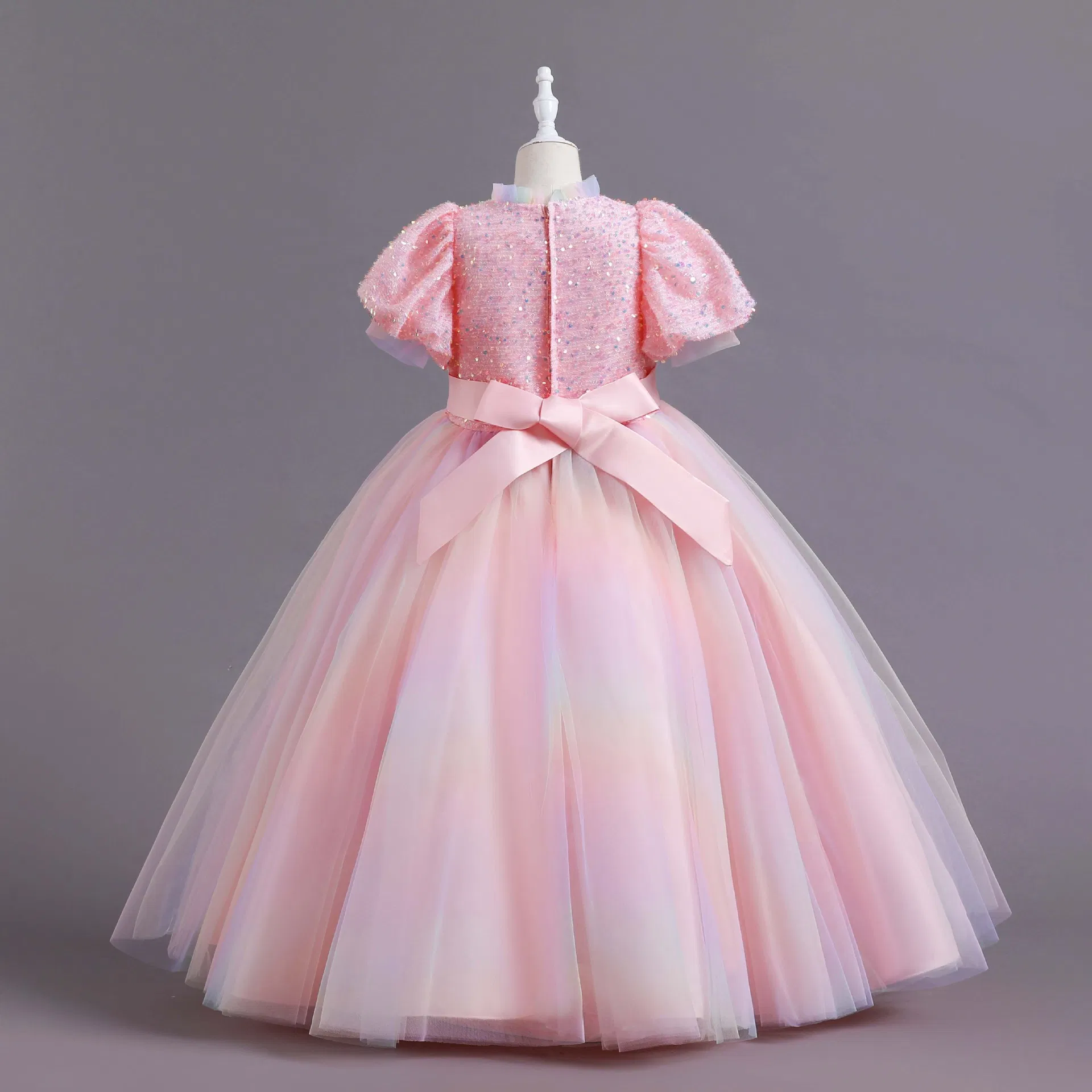 Cute Girl Wear Short Sleeves Party Wear Long Princess Dress