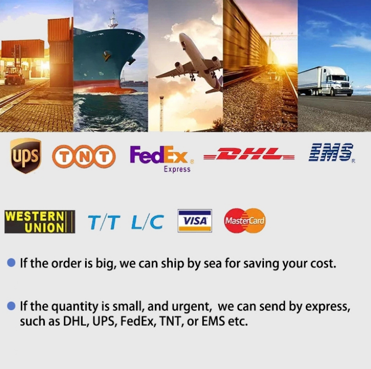 Shipping Logistics