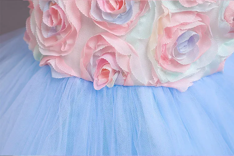 Child Girl Princess Party Dress
